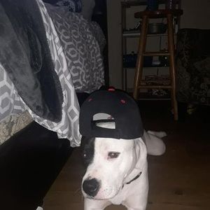 Meet your Posher, Jaykob